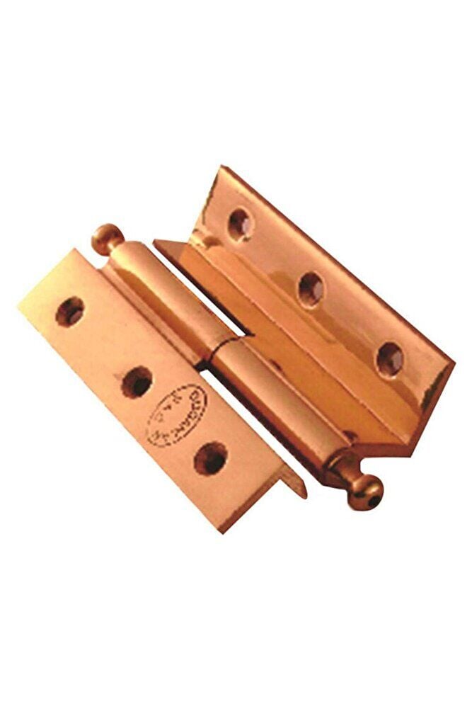 Doğanlar 10 Cm Cumbalı Kapı Menteşe Rulmanlı Albirifin Sağ