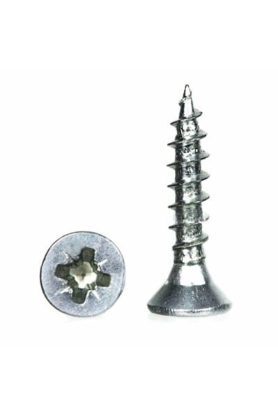 4.0x45 Sunta Vidası (500)