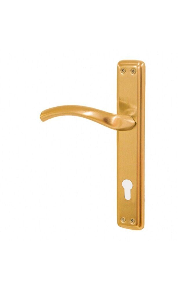 Doğanlar Kavisli Albrifin Kapı Kolu Aynalı Yale Sağ (ADET)