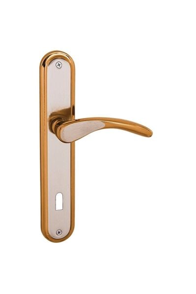 Atlas Saten Albirifin Aynal Oda Kapı Kolu