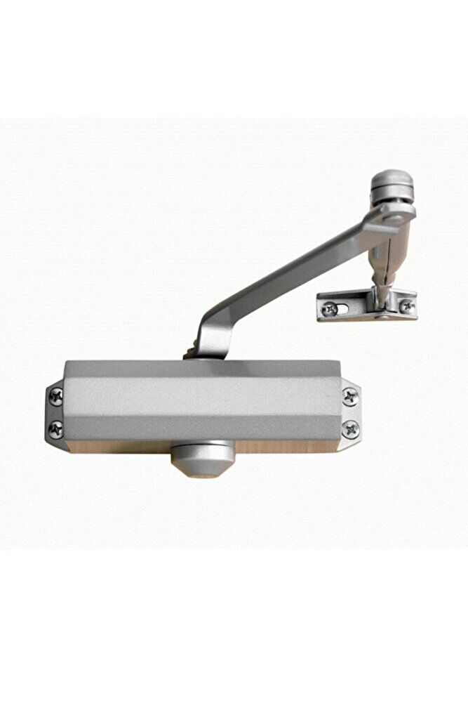 Kae Kapı Hidroliği Gümüş 3 Numara 40-65 Kg