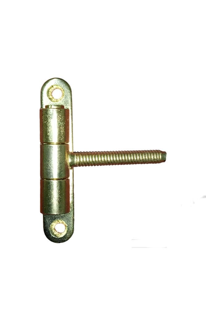 VASİSTAS MENTEŞE 141